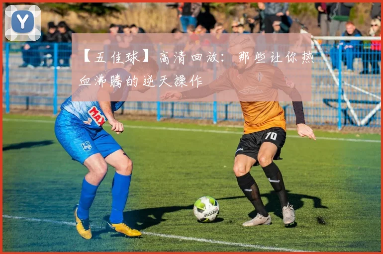 【五佳球】高清回放：那些让你热血沸腾的逆天操作