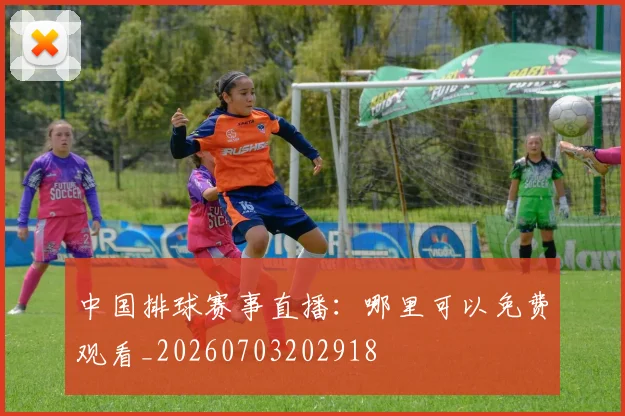 中国排球赛事直播：哪里可以免费观看_20260703202918