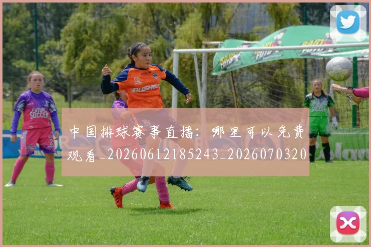 中国排球赛事直播：哪里可以免费观看_20260612185243_20260703202923