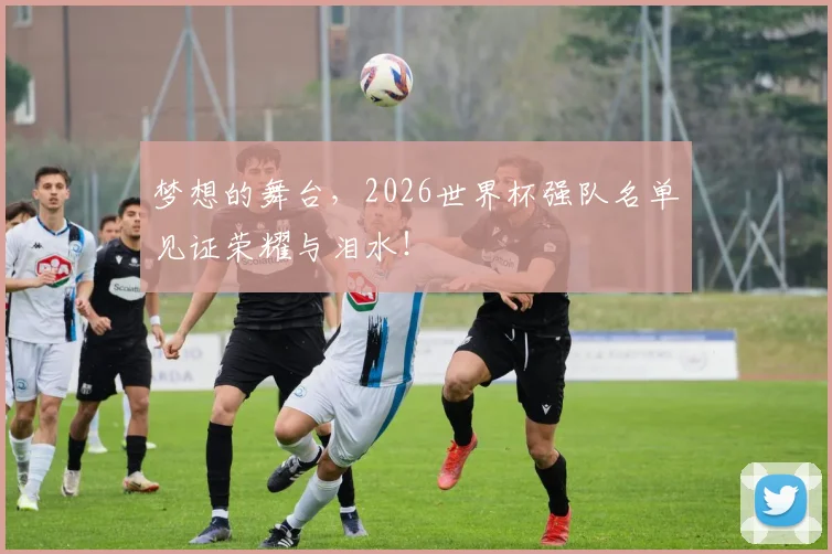 梦想的舞台，2026世界杯强队名单见证荣耀与泪水！